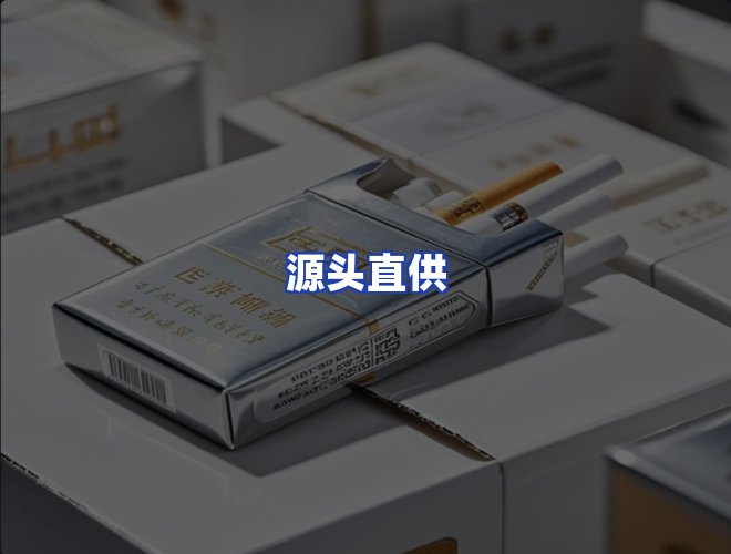专业团队